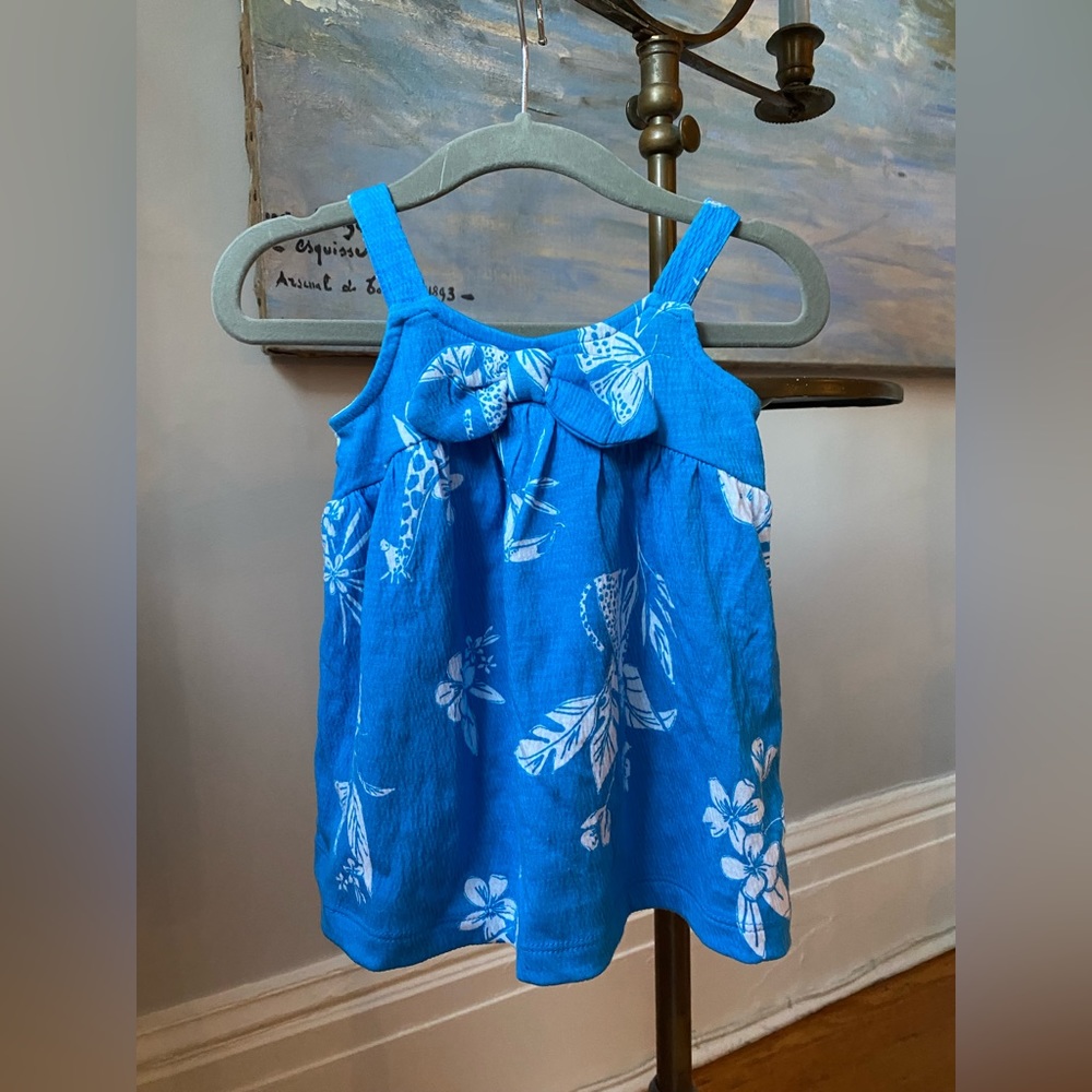NWOT Carters Baby Girl Dress with Matching Bloomers